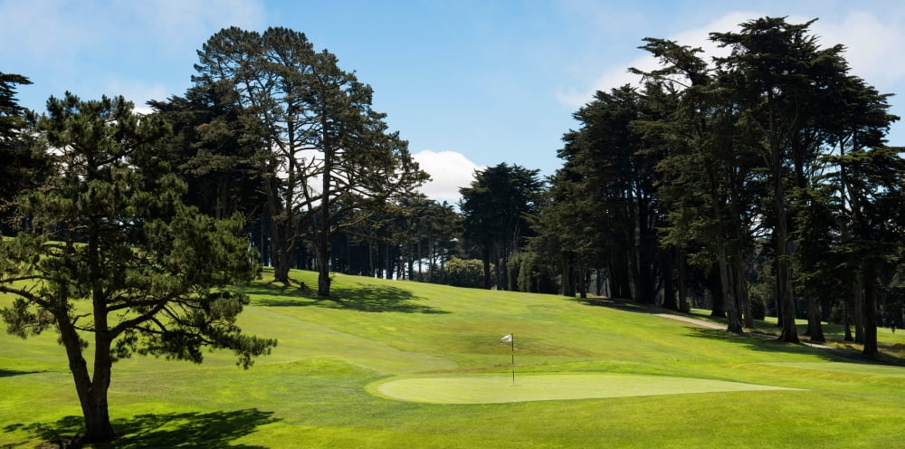 Trees in a golf course Presidio Golf Course San Francisco California USA Canvas Art - Panoramic Images (27 x 9)