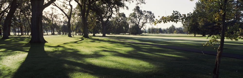 Trees in a golf course Silverado Country Club Napa Valley Napa County California USA Canvas Art - Panoramic Images (36 x 12)