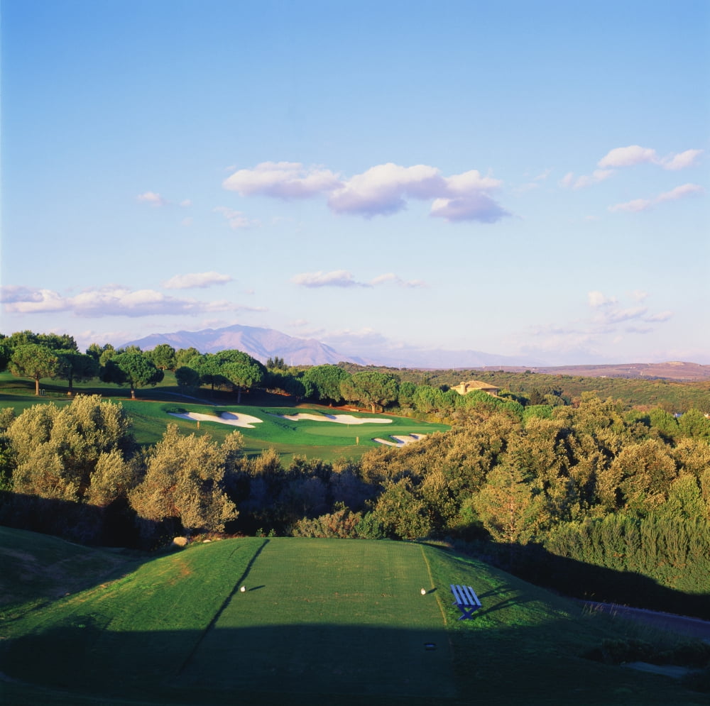 Trees in a golf course Valderrama Golf Club San Roque Cadiz Spain Canvas Art - Panoramic Images (24 x 24)