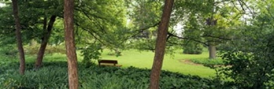 Trees in a park Adams Park Wheaton Illinois USA Canvas Art - Panoramic Images (36 x 12)