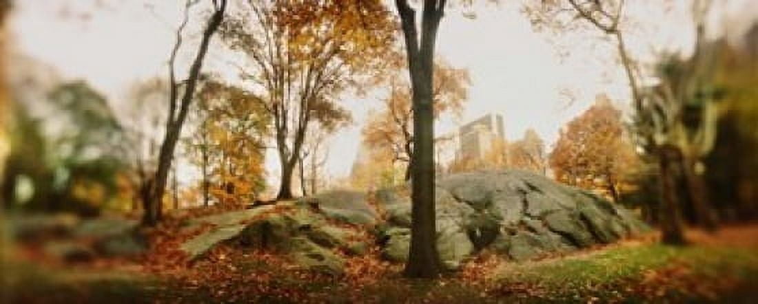 Trees in a park Central Park Manhattan New York City New York State USA Canvas Art - Panoramic Images (15 x 6)
