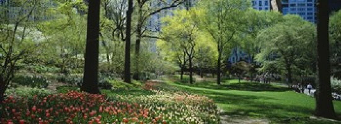 Trees in a park Central Park Manhattan New York City New York State USA Canvas Art - Panoramic Images (18 x 7)