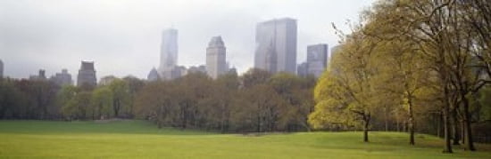 Trees in a park Central Park Manhattan New York City New York State USA Canvas Art - Panoramic Images (36 x 12)