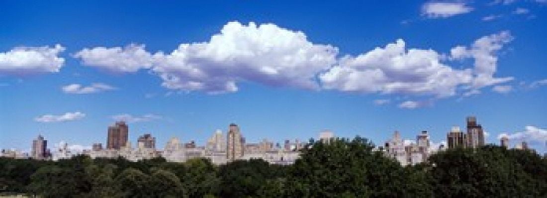 Trees in a park Central Park Manhattan New York City New York State USA Canvas Art - Panoramic Images (36 x 13)