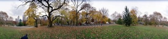 Trees in a park Central Park Manhattan New York City New York State USA Canvas Art - Panoramic Images (40 x 10)