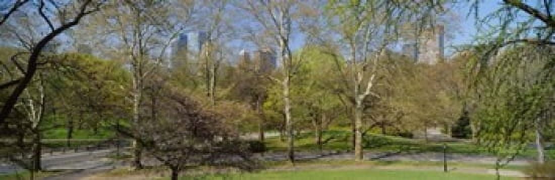 Trees in a park Central Park West Central Park Manhattan New York City New York State USA Canvas Art - Panoramic Images (18 x 6)