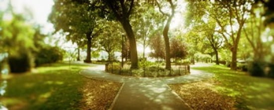 Trees in a park McCarren Park Greenpoint Brooklyn New York City New York State USA Canvas Art - Panoramic Images (30 x 12)