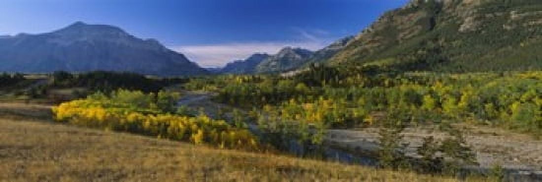 Trees in a valley Waterton Lakes National Park Alberta Canada Canvas Art - Panoramic Images (18 x 6)
