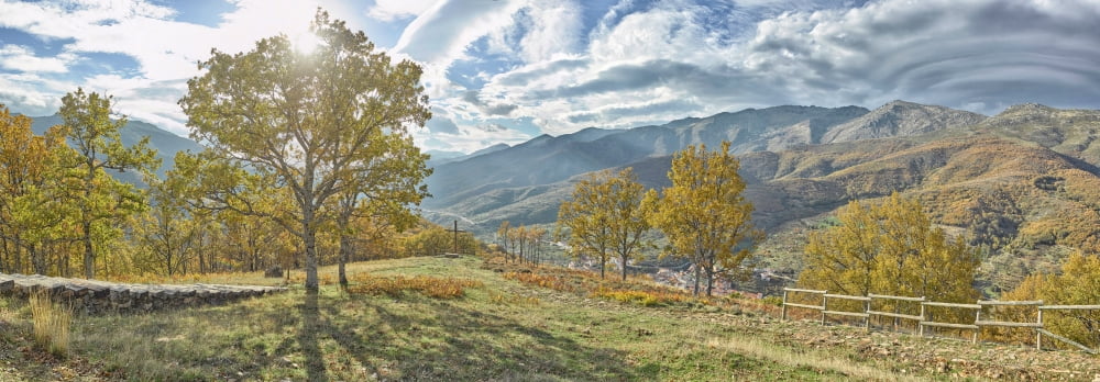 Trees in a valley from Tornavacas Valle Del Jerte Caceres Caceres Province Extremadura Spain Canvas Art - Panoramic Images (13 x 36)