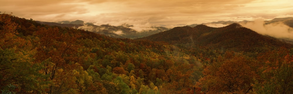 Trees in autumn Black Rock Mountain State Park Georgia USA Canvas Art - Panoramic Images (12 x 36)