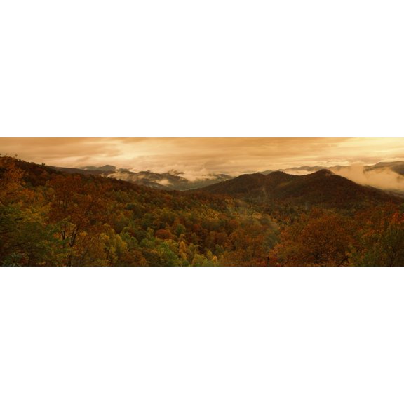 Trees in autumn Black Rock Mountain State Park Georgia USA Canvas Art - Panoramic Images (12 x 36)
