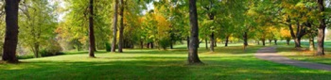 Trees in autumn Blue Lake Park Portland Multnomah County Oregon USA Canvas Art - Panoramic Images (20 x 5)