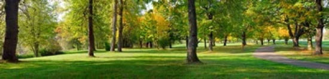 Trees in autumn Blue Lake Park Portland Multnomah County Oregon USA Canvas Art - Panoramic Images (40 x 10)