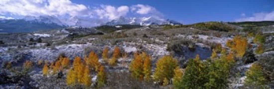 Trees in autumn Colorado USA Canvas Art - Panoramic Images (36 x 12)