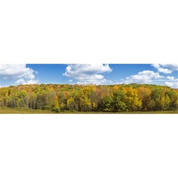 Trees in autumn, New York State, USA Poster Print (40 x 12)