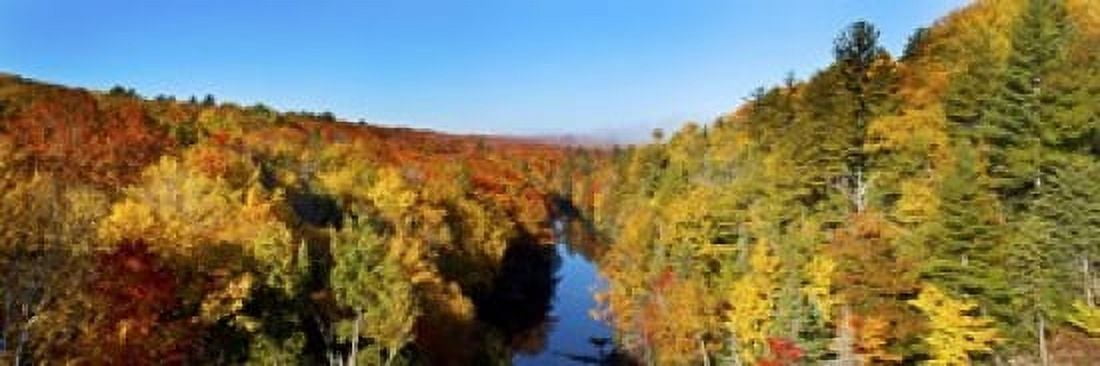 Trees in autumn at Dead River Marquette County Upper Peninsula Michigan USA Canvas Art - Panoramic Images (18 x 6)