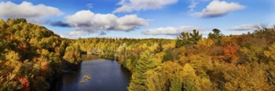 Trees in autumn at Dead River Marquette County Upper Peninsula Michigan USA Canvas Art - Panoramic Images (36 x 12)