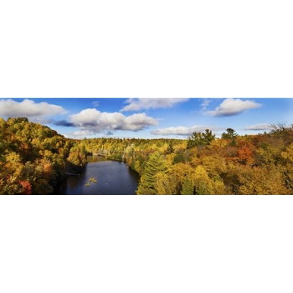 Trees in autumn at Dead River, Marquette County, Upper Peninsula, Michigan, USA Poster Print (18 x 6)