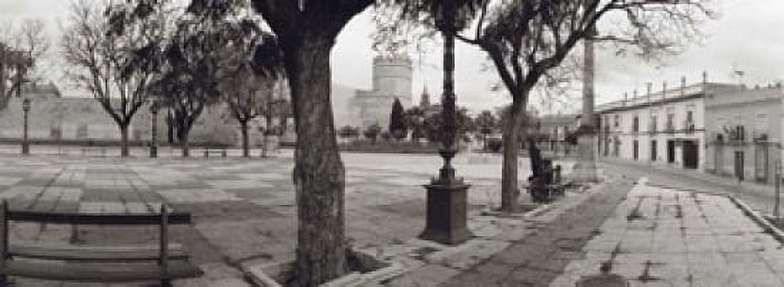 Trees in front of a building Alameda Vieja Jerez Cadiz Spain Canvas Art - Panoramic Images (18 x 7)