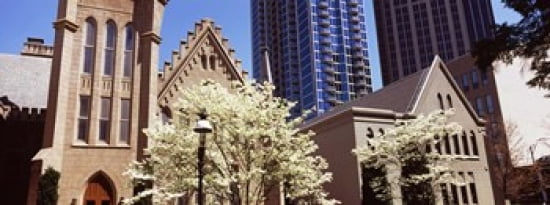 Trees in front of a building Charlotte Mecklenburg County North Carolina USA Canvas Art - Panoramic Images (30 x 12)