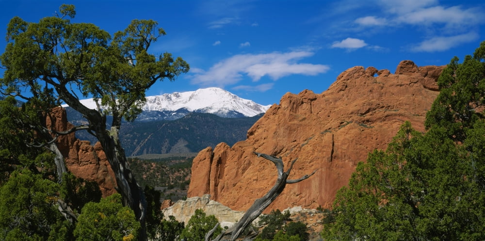 Trees in front of a rock formation Pikes Peak Garden Of The Gods Colorado Springs Colorado USA Canvas Art - Panoramic Images (36 x 12)