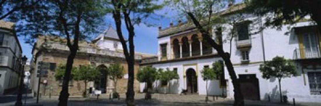 Trees in front of buildings Convento San Leandro Plaza Pilatos Seville Spain Canvas Art - Panoramic Images (18 x 6)