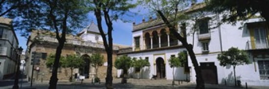 Trees in front of buildings Convento San Leandro Plaza Pilatos Seville Spain Canvas Art - Panoramic Images (36 x 12)