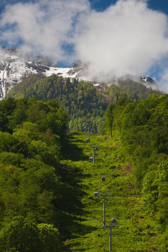 Trees in mountain landscape Carousel Mountain Krasnaya Polyana Sochi Caucasus Mountains Russia Canvas Art - Panoramic Images (27 x 9)
