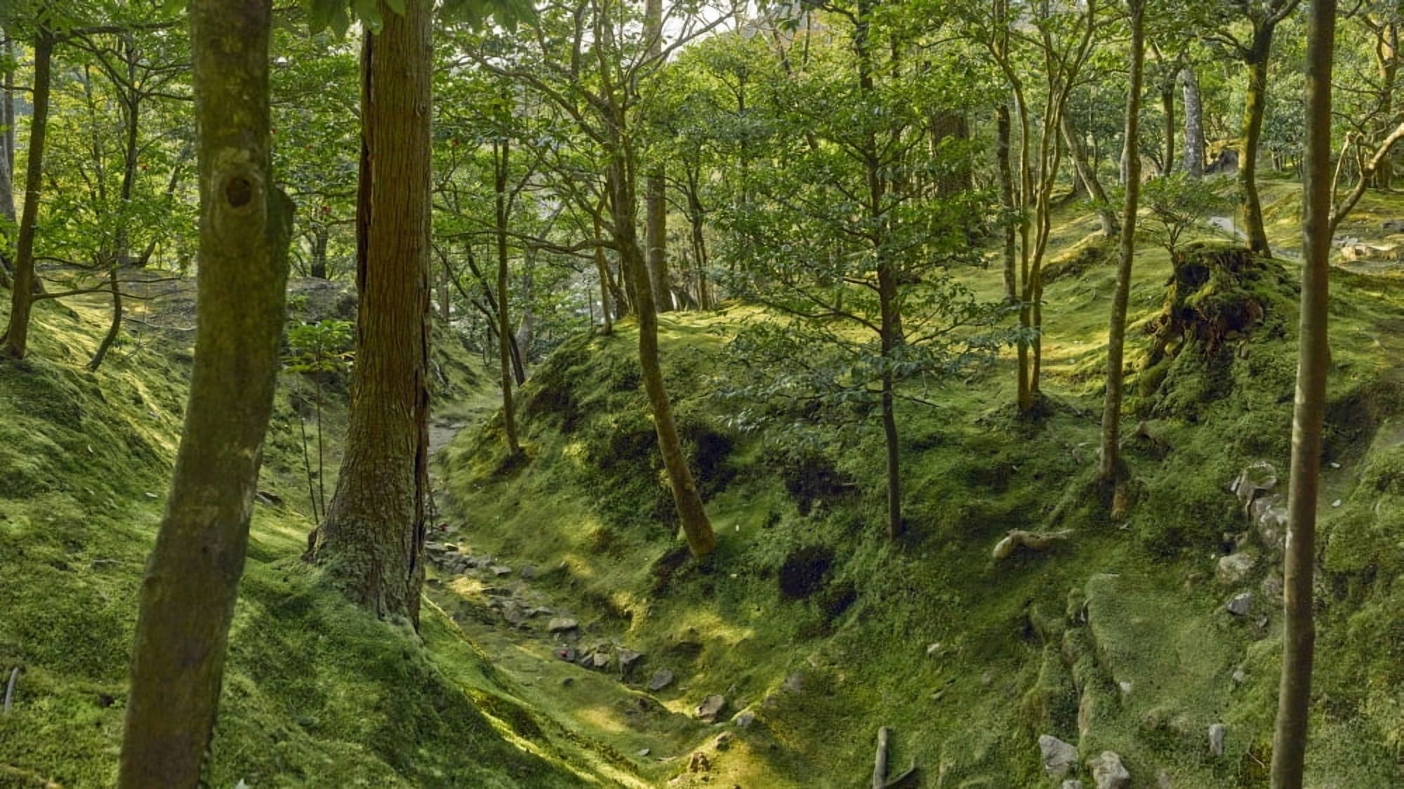 Trees in temple garden Ginkaku-ji (Temple of the Silver Pavilion) Kyoto Kyoto Prefecture Japan Canvas Art - Panoramic Images (27 x 9)