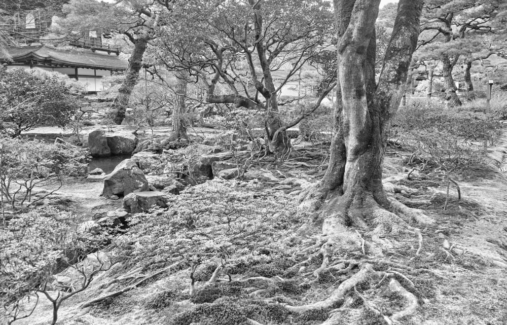 Trees in temple garden Ginkaku-ji (Temple of the Silver Pavilion) Kyoto Kyoto Prefecture Japan Canvas Art - Panoramic Images (36 x 12)