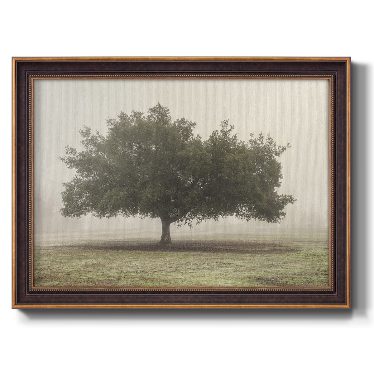 Trees in the Fog II Premium Framed Canvas- Ready to Hang