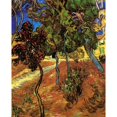thumbnail image 1 of Trees in the Garden of Saint-Paul Hospital [2] Poster Print (24 x 36), 1 of 3