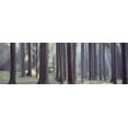 thumbnail image 1 of Trees in the forest, South Bohemia, Czech Republic Poster Print (18 x 6), 1 of 1