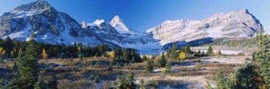 Trees on a landscape in front of a mountain range Mt Assiniboine Mt Assiniboine Provincial Park British Columbia Canada Canvas Art - Panoramic Images (36 x 12)
