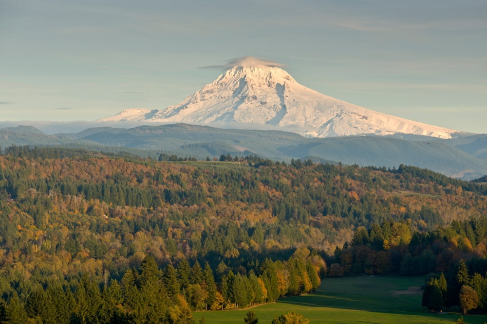 Trees on a landscape with mountain in the background Mt Hood Jonsrud Viewpoint Sandy Clackamas County Oregon USA Canvas Art - Panoramic Images (18 x 24)