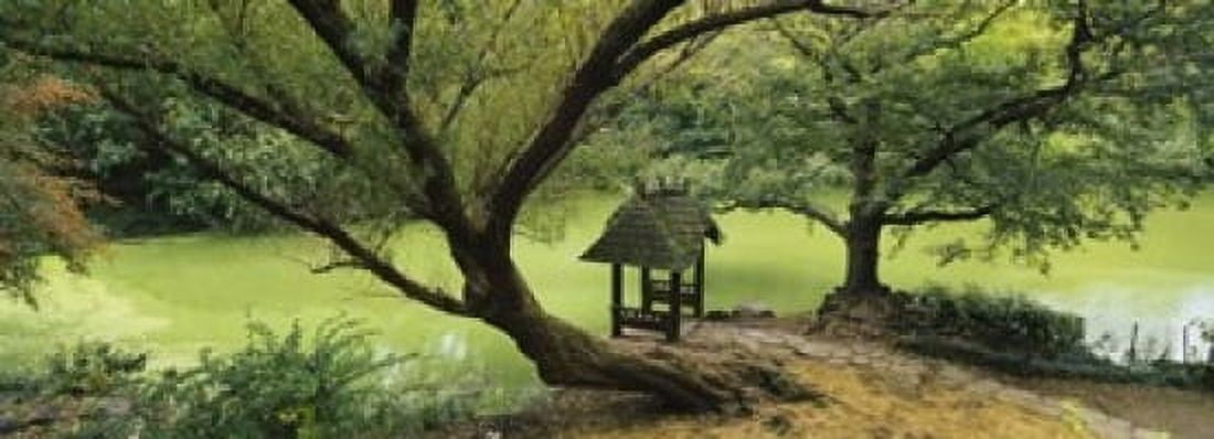 Trees near a pond Central Park Manhattan New York City New York State USA Canvas Art - Panoramic Images (18 x 7)