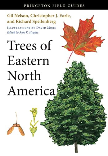 Pre-Owned Trees of Eastern North America (Paperback) 9780691145914