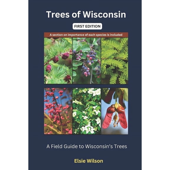 Trees of Wisconsin: Guide to Identifying Trees found in Wisconsin, (Paperback)