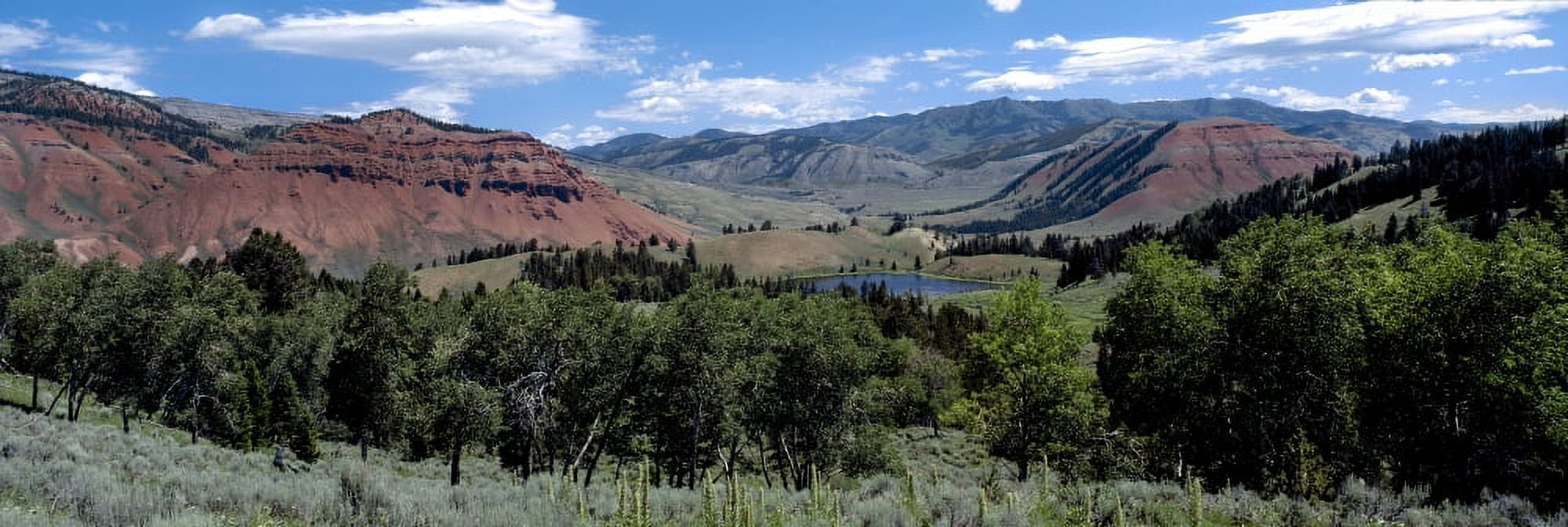 Trees on Red Hills Gros Ventre Wilderness Bridger Teton National Forest Wyoming USA Canvas Art - Panoramic Images (27 x 9)