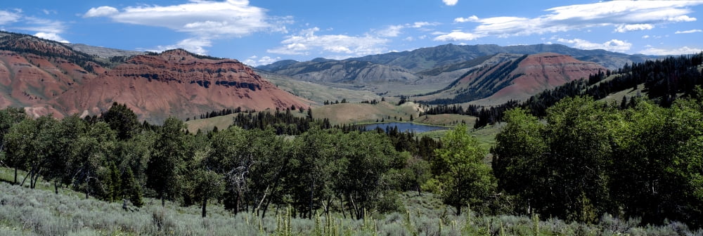 Trees on Red Hills Gros Ventre Wilderness Bridger Teton National Forest Wyoming USA Canvas Art - Panoramic Images (36 x 12)
