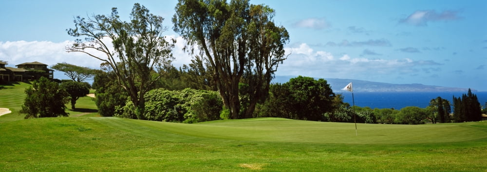 Trees on a golf course Kapalua Golf course Maui Hawaii USA Canvas Art - Panoramic Images (36 x 12)