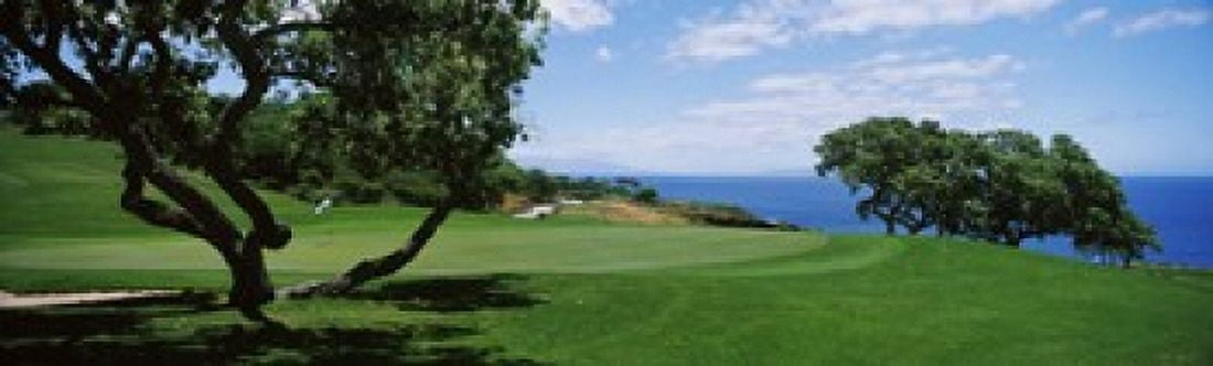 Trees on a golf course The Manele Golf course Lanai City Hawaii USA Canvas Art - Panoramic Images (38 x 12)