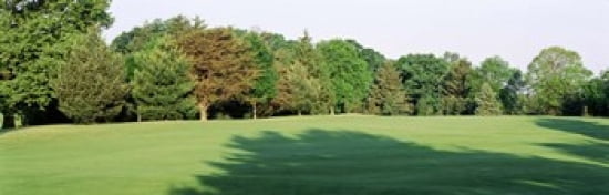 Trees on a golf course Woodholme Country Club Baltimore Maryland USA Canvas Art - Panoramic Images (36 x 12)
