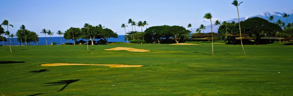 Trees on a golf courseKaanapali Golf Course Maui Hawaii USA Canvas Art - Panoramic Images (36 x 12)