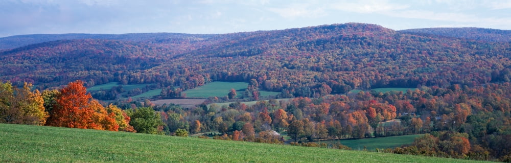 Trees on a hill Adams Berkshire County Massachusetts USA Canvas Art - Panoramic Images (36 x 12)