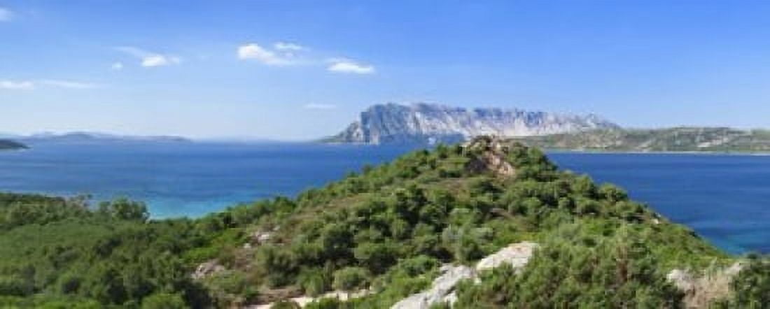 Trees on a hill Capo Coda Cavallo Baronia Sardinia Italy Canvas Art - Panoramic Images (15 x 6)