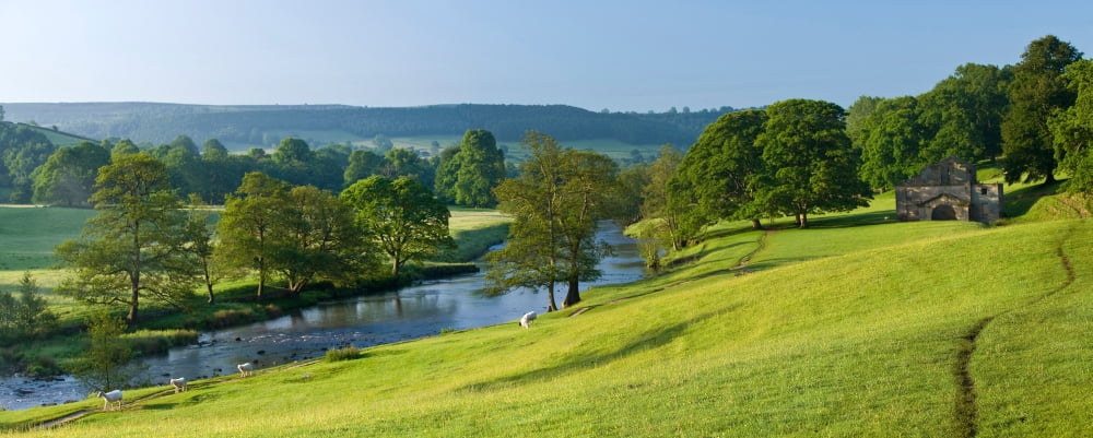 Trees on a hill Chatsworth House Peak District Derbyshire England Canvas Art - Panoramic Images (27 x 9)