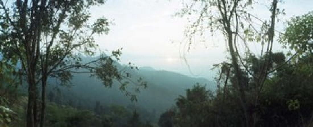 Trees on a hill Chiang Mai Thailand Canvas Art - Panoramic Images (15 x 6)