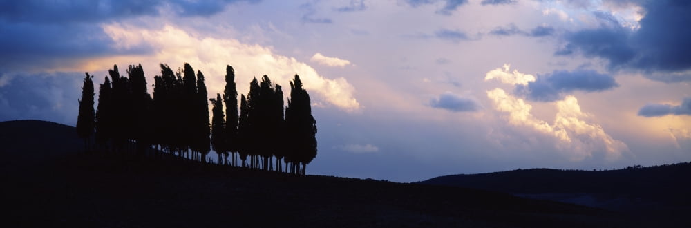Trees on a hill Crete Senesi Tuscany Italy Canvas Art - Panoramic Images (27 x 9)