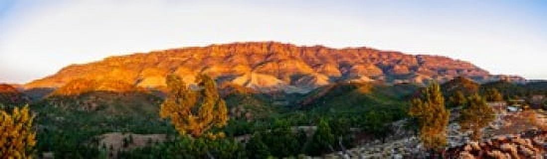 Trees on a hill Flinders Ranges Hawker South Australia Australia Canvas Art - Panoramic Images (38 x 12)